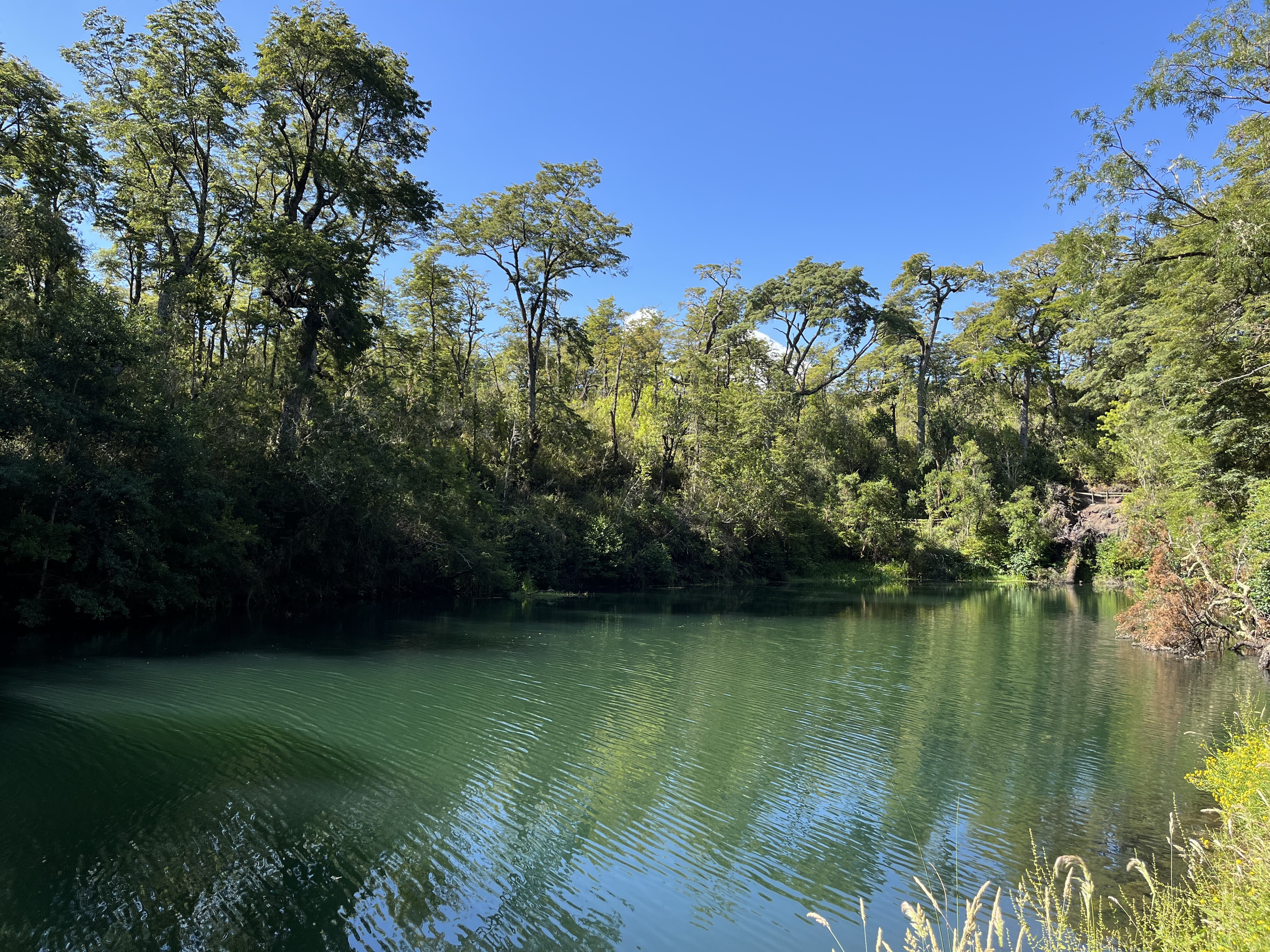 Sendero Laguna Verde