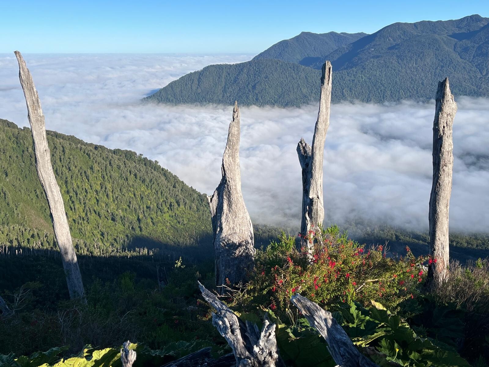 Cráter Volcán Chaitén