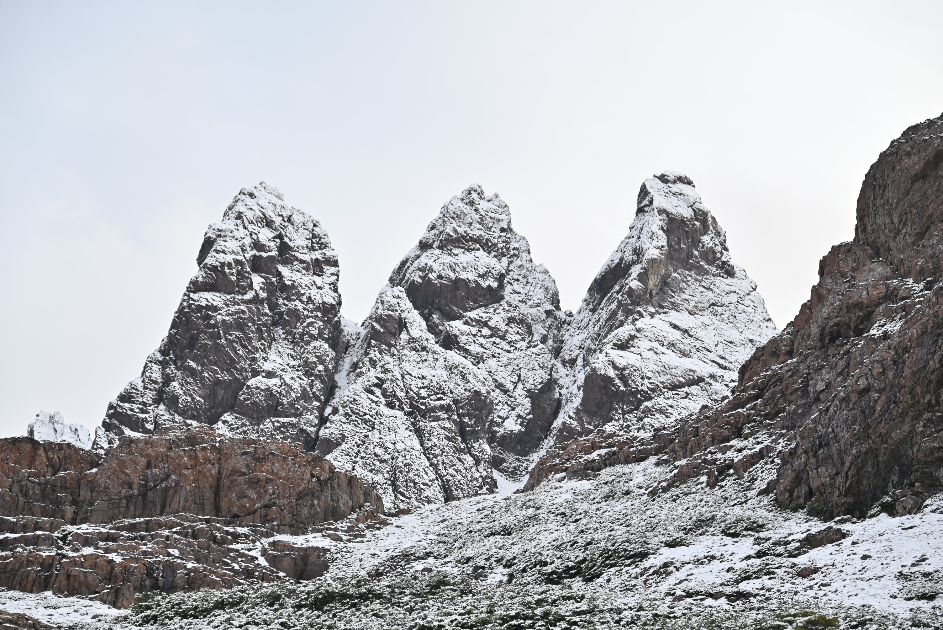 Dientes de Navarino