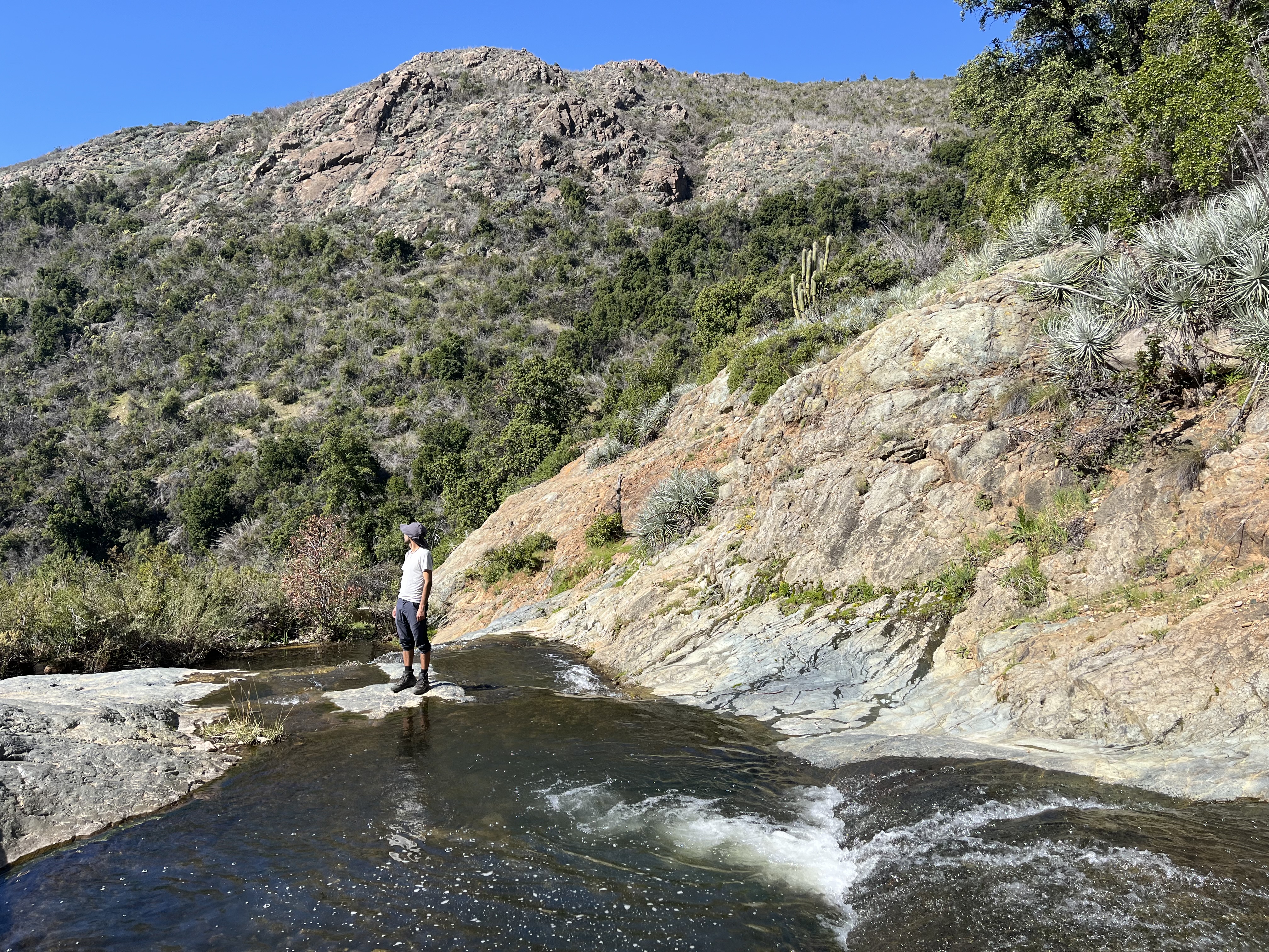 Pozones Las Canchas - Altos de Cantillana