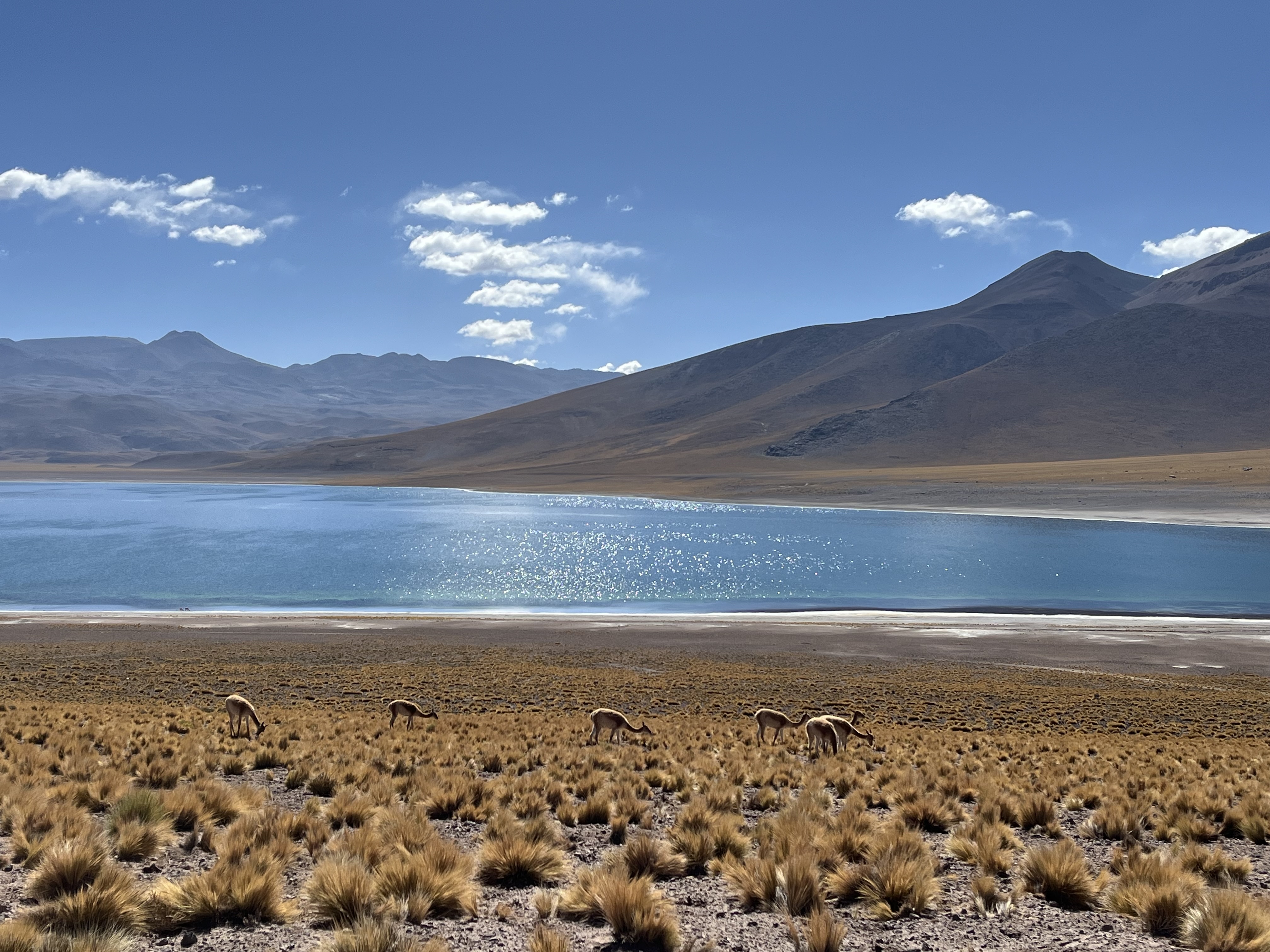 Lagunas Miscante - Miñiques