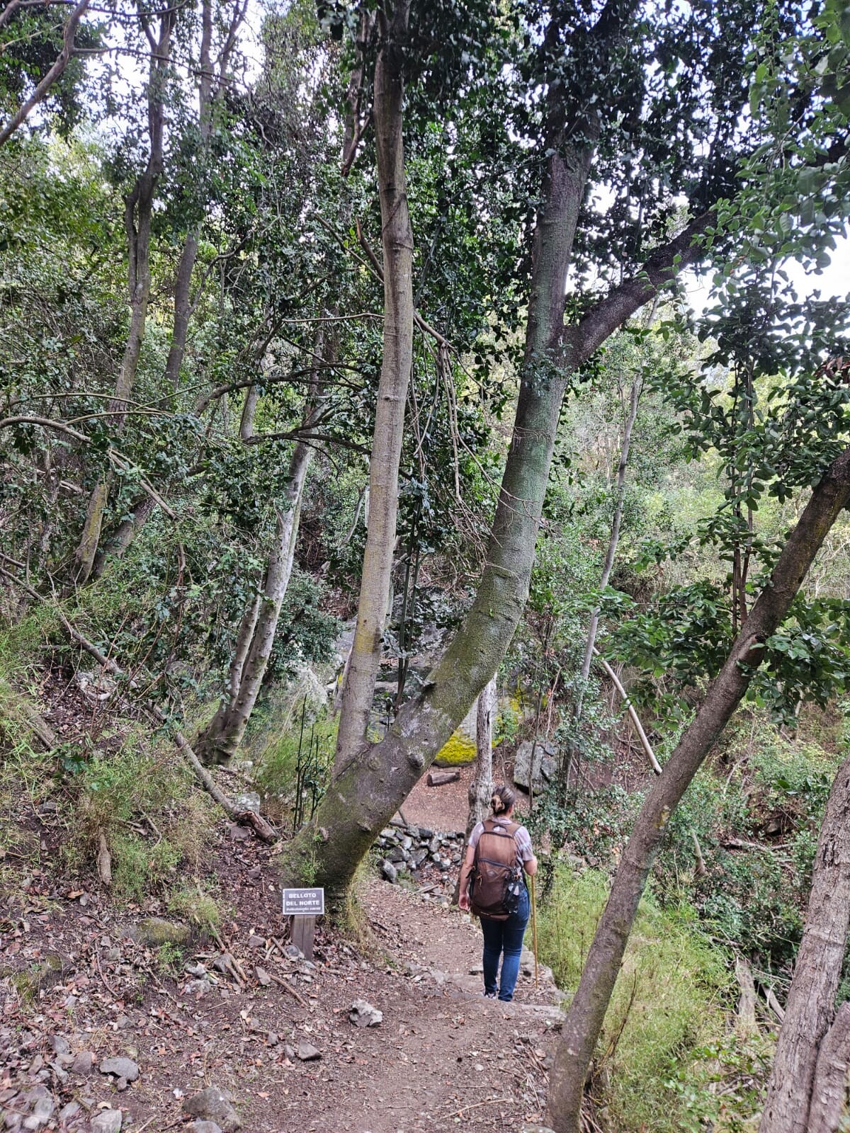 La Canasta