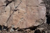 Petroglifos Roca Aborregada