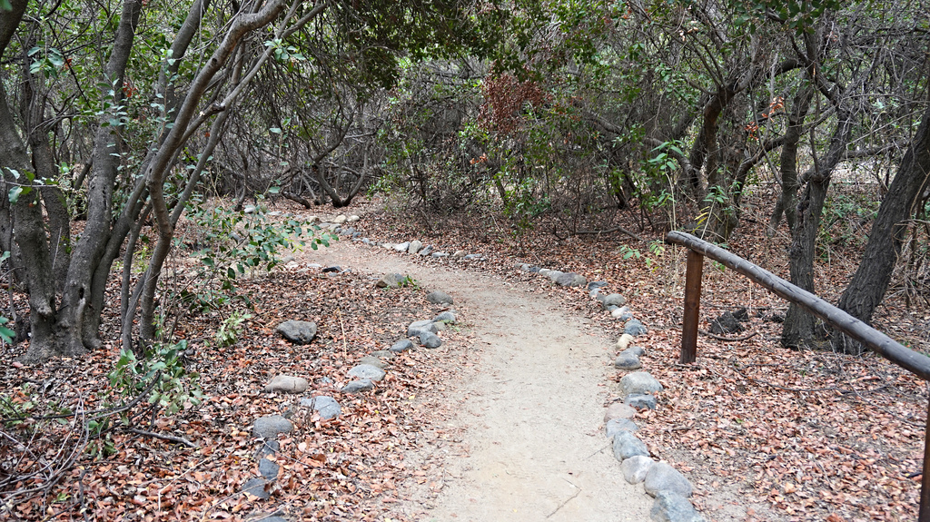 Parque Nacional Río Clarillo - Arboretum - Andeshandbook