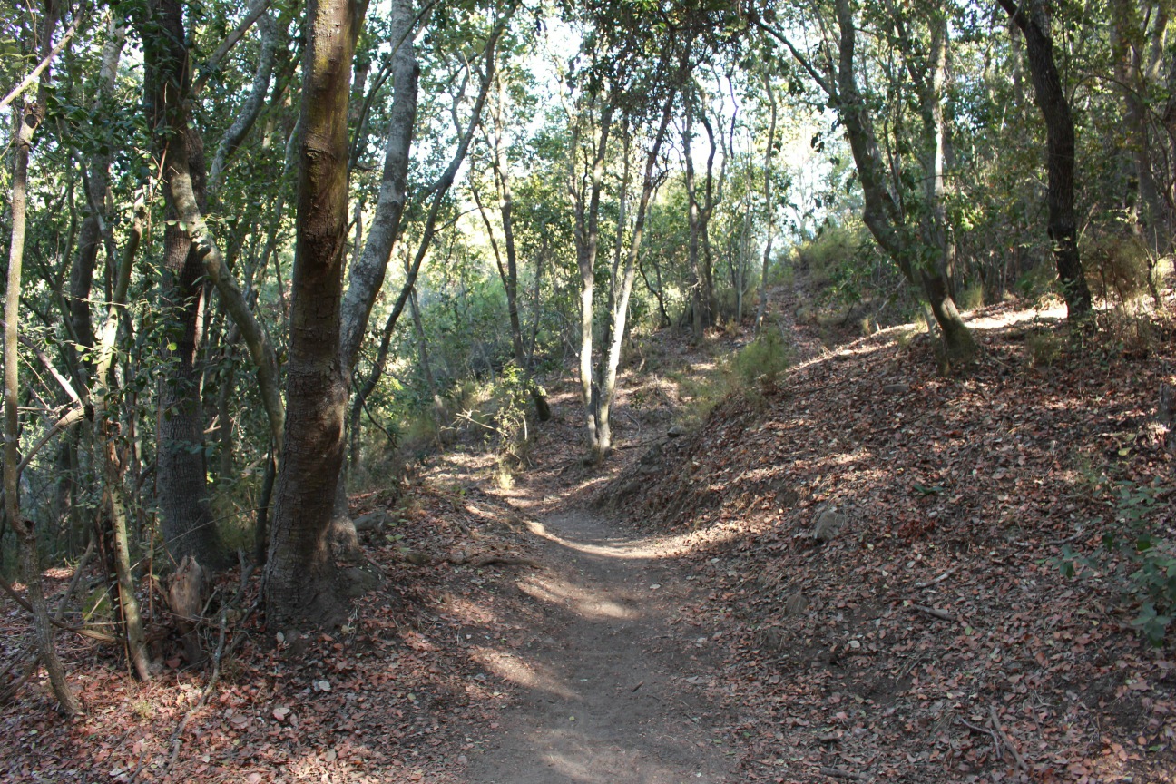 Cajón Grande, Parque Nacional La Campana - Los Robles - Portezuelo Ocoa ...
