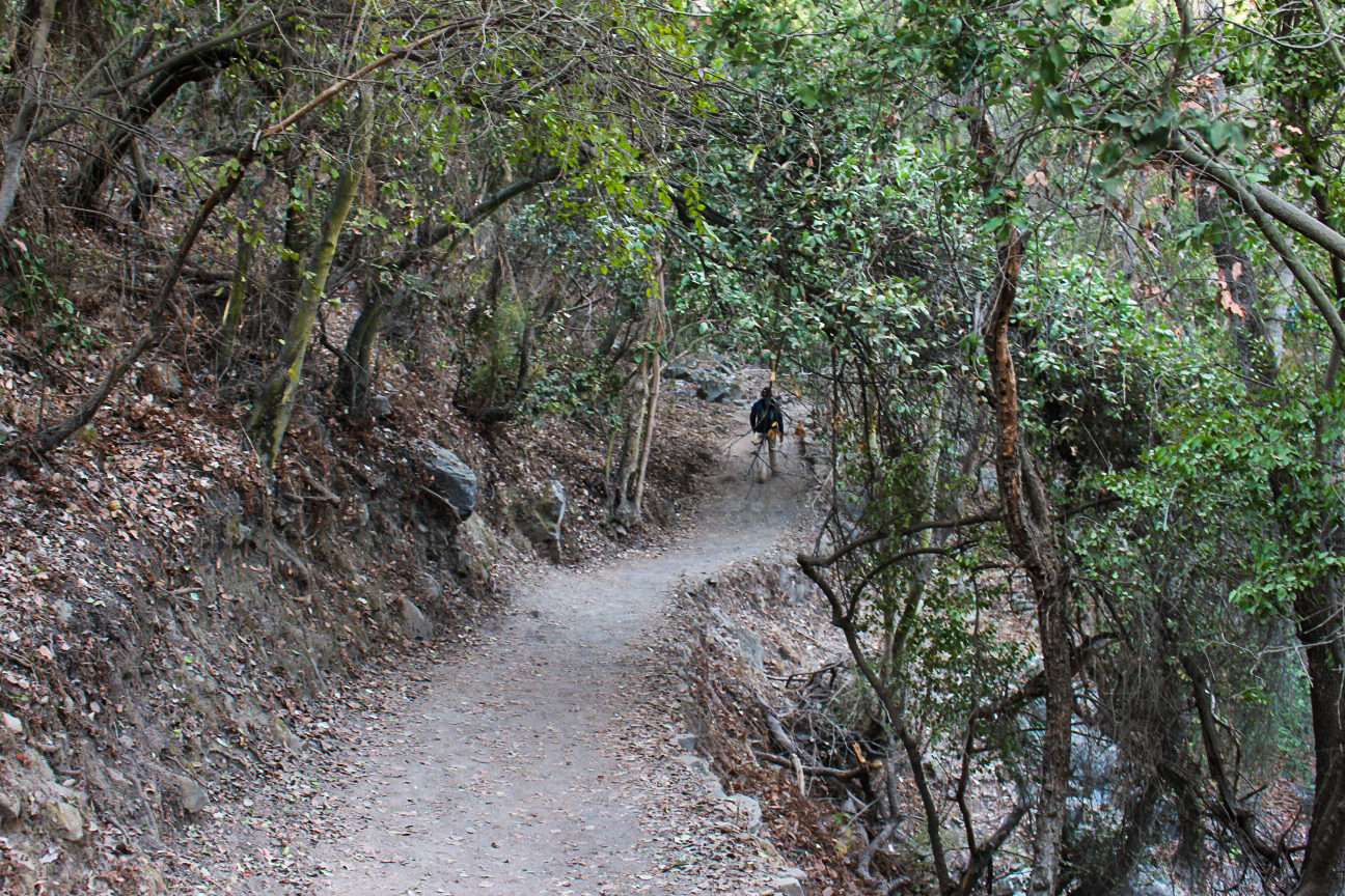 Cajón Grande, Parque Nacional La Campana - Los Robles - Portezuelo Ocoa ...