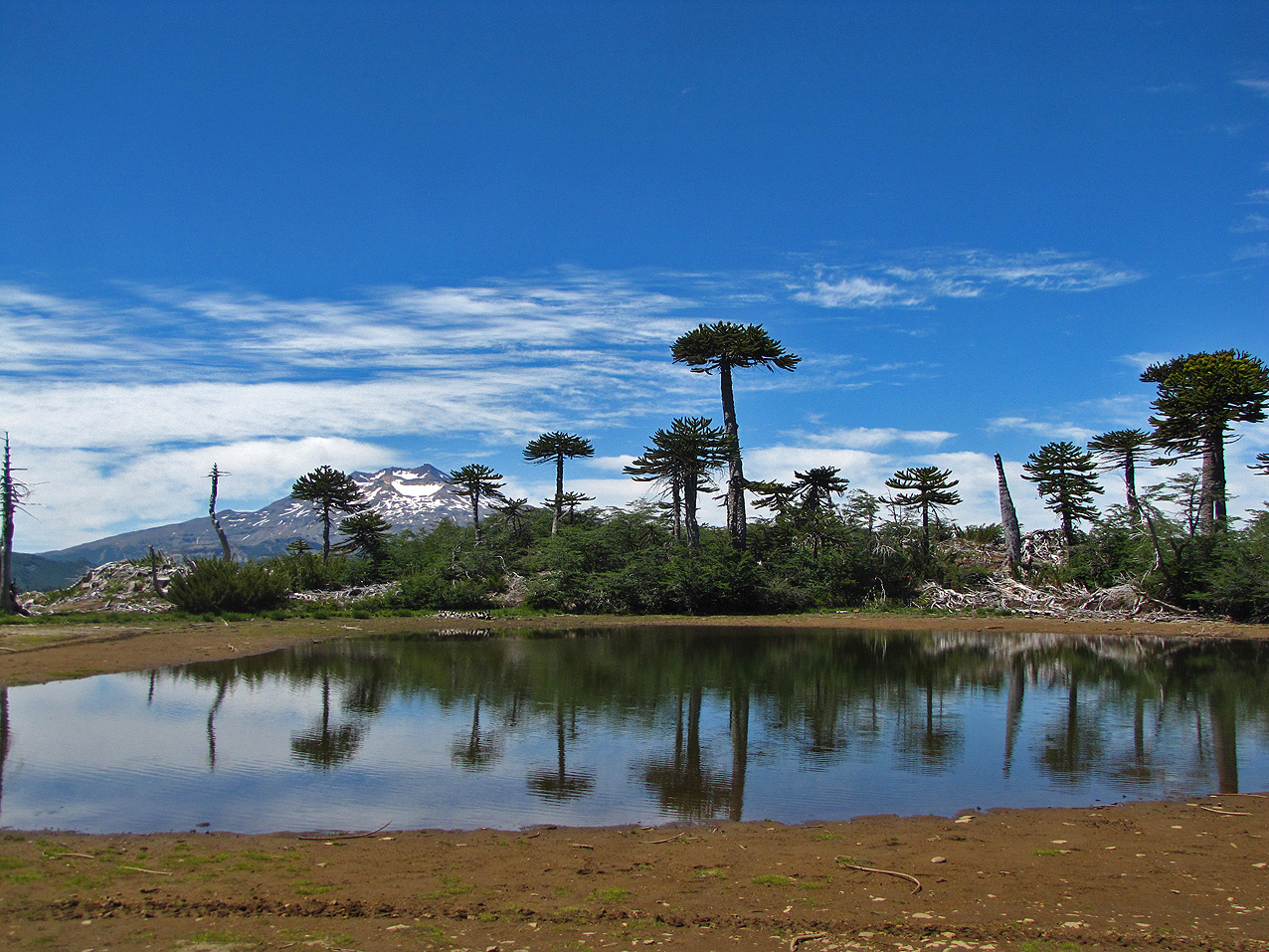 Parque Nacional Tolhuaca Lagunillas Andeshandbook