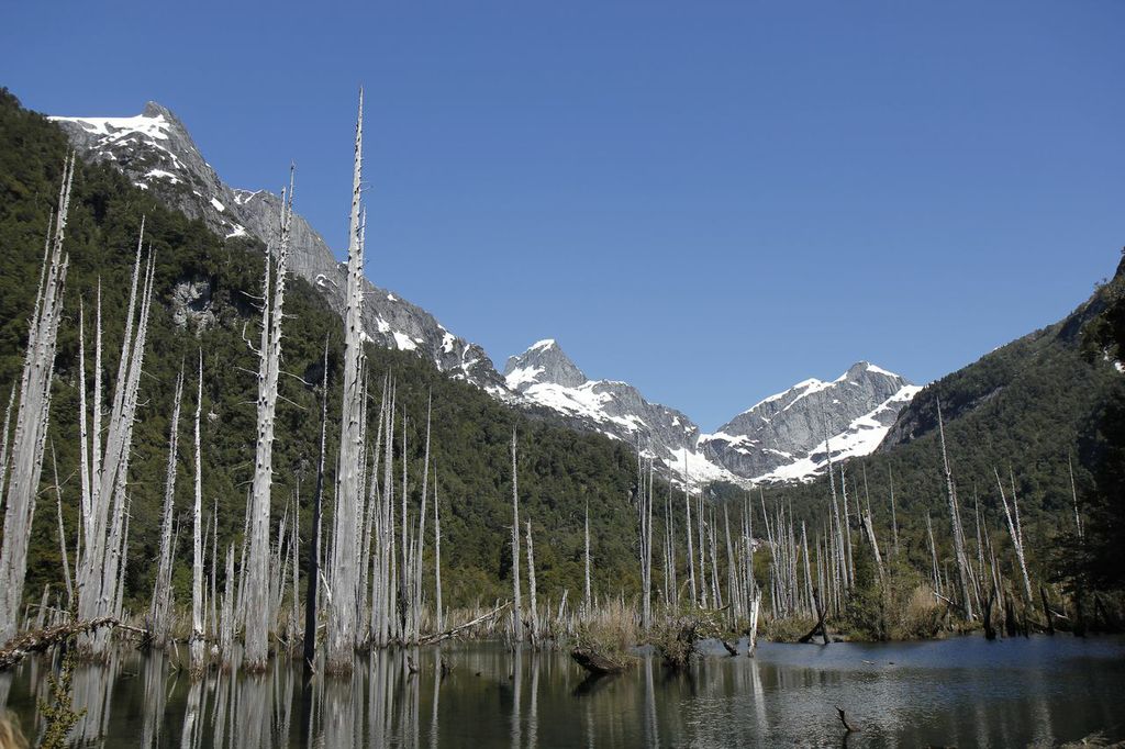 Lago TaguaTagua, valle río Puelo Parque TaguaTagua Andeshandbook