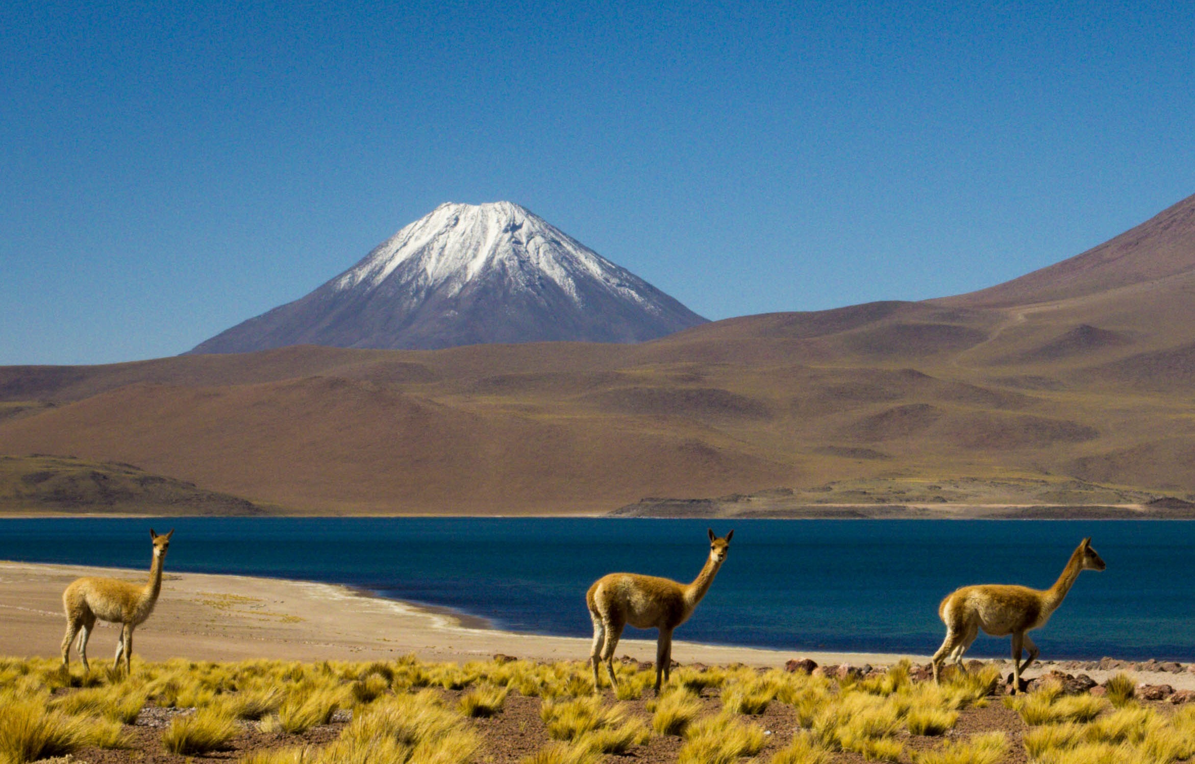 Volcán Chiliques - Andeshandbook