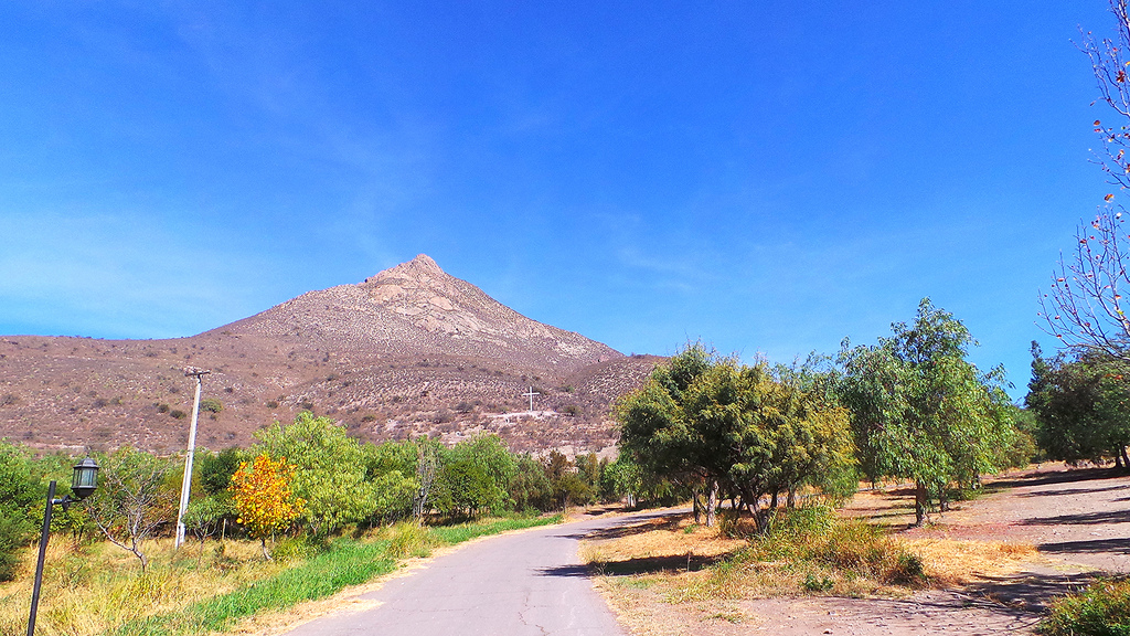 Cerro El Carmelo Andeshandbook