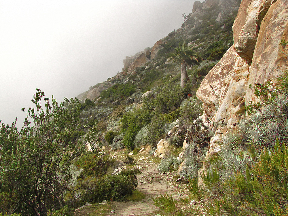 Punta Imán - Cara Oeste desde Quebrada de Alvarado - Andeshandbook