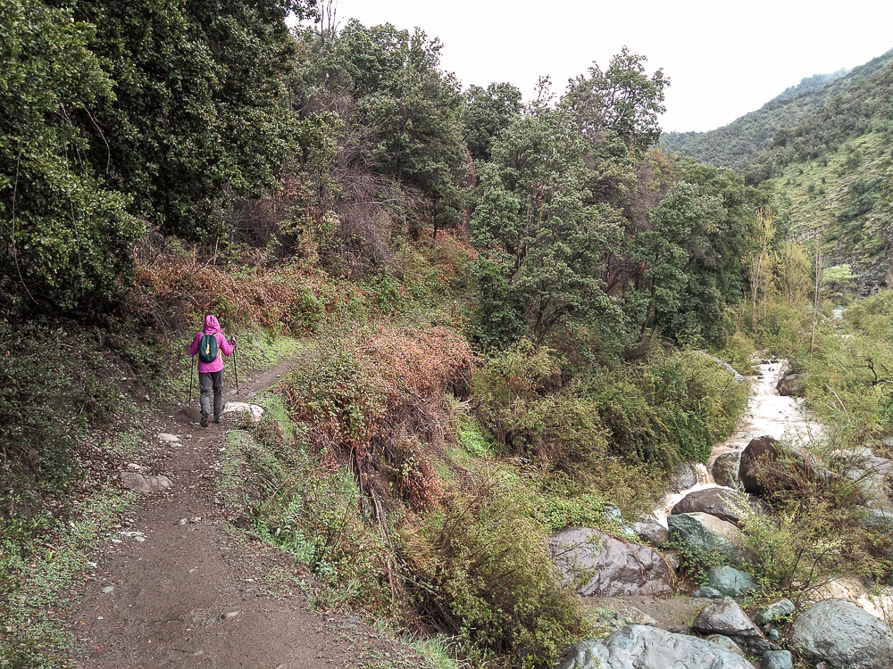 Estero El Manzano Bosque de Los Brujos Andeshandbook