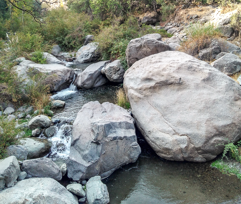 Estero El Manzano Bosque de Los Brujos Andeshandbook