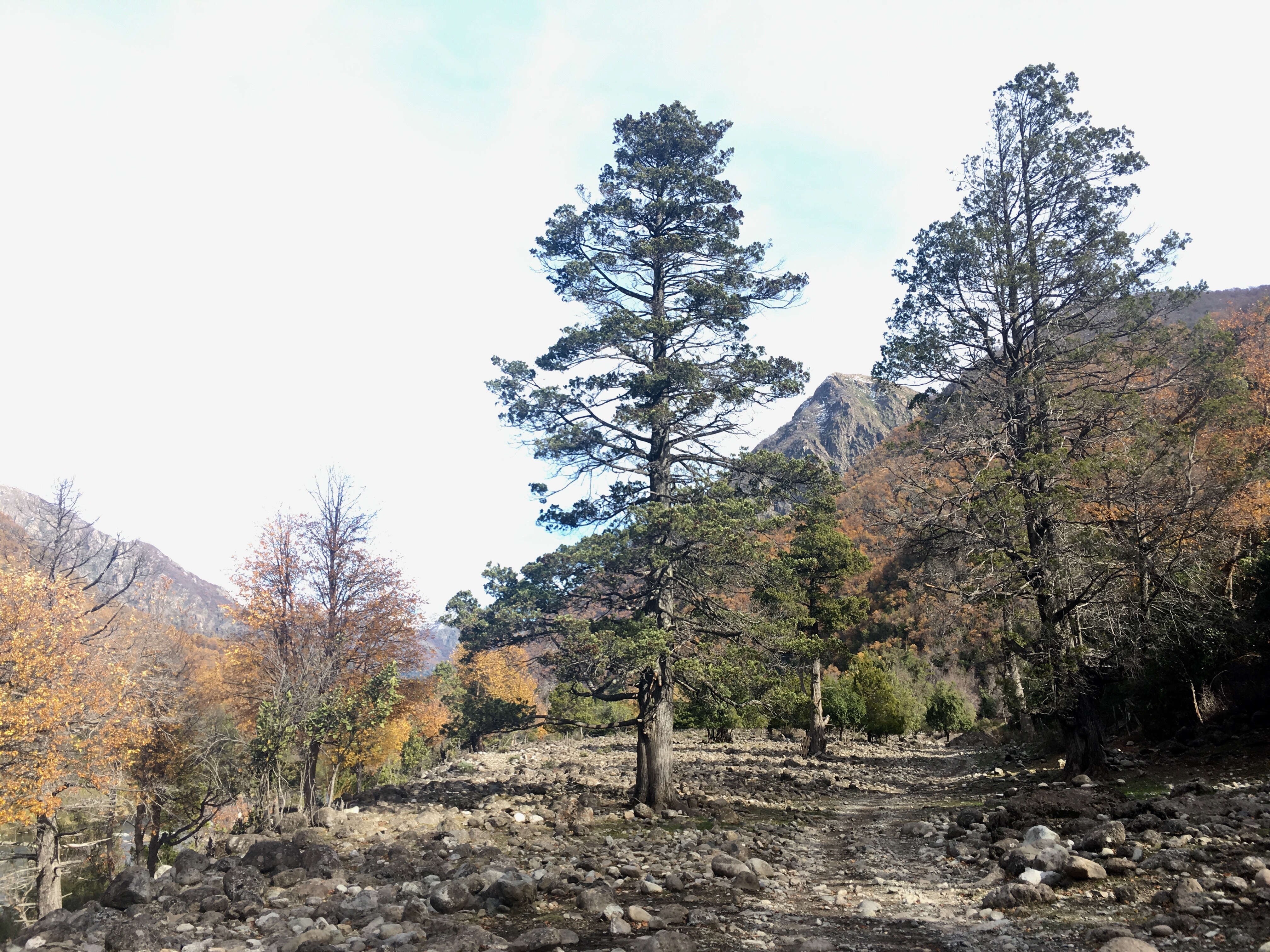 Río Achibueno Cajón del Achibueno Andeshandbook