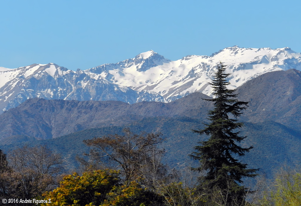 Cerro De La Punta - Andeshandbook