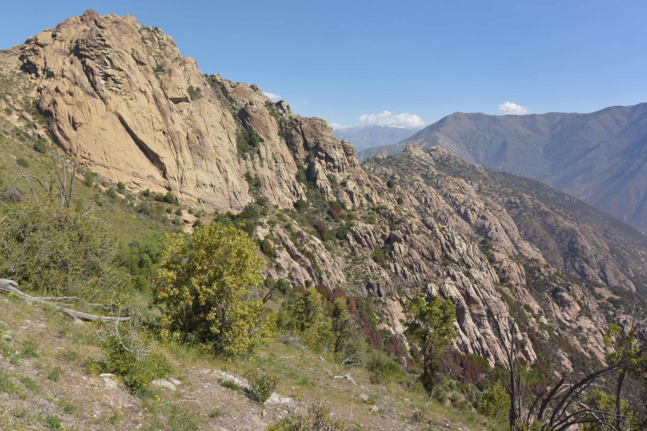 El Manzano, Cajón del Maipo Lomas del Olivillo por Filo de las