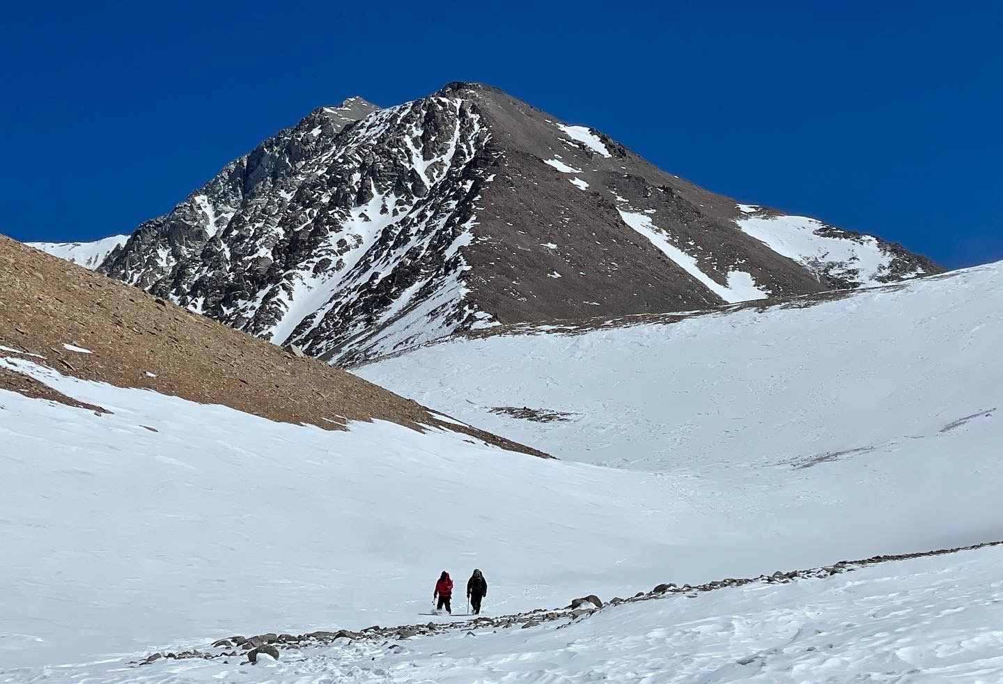 Cerro Volcán Andeshandbook
