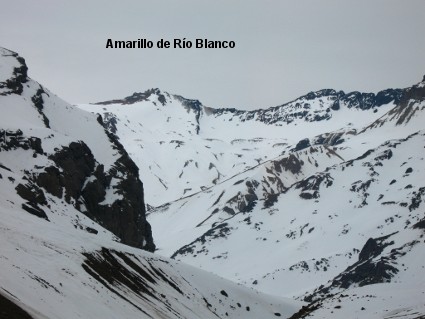 Amarillo de Rio Blanco Amarillo de Rio Blanco