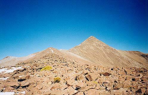 Un pequeño gigante del altiplano Un pequeño gigante del altiplano