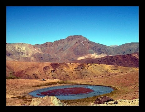 Cepo desde laguna Piuquenes