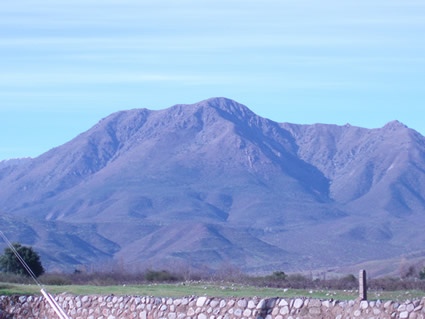 Cara Poniente