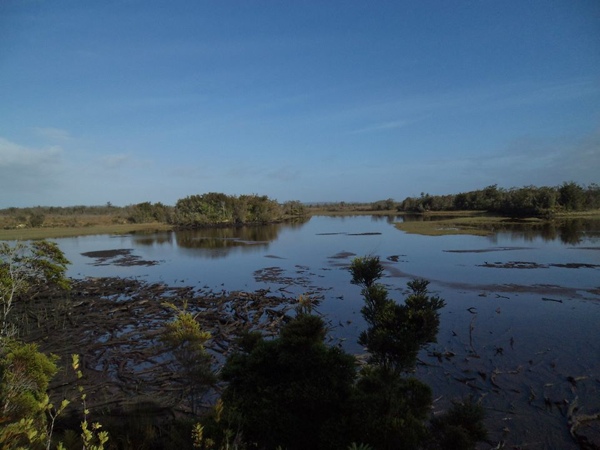 Laguna los Ciervos