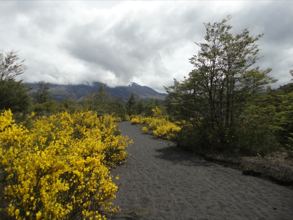 Inicio sendero