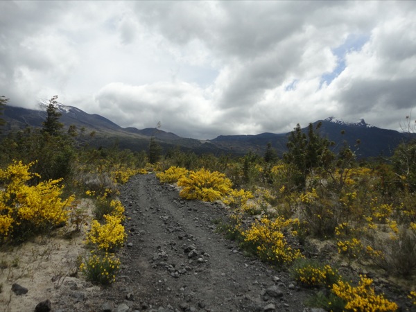 Paso Desolación