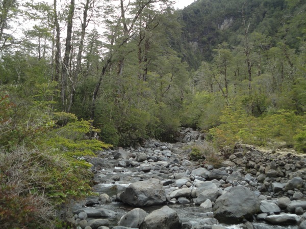 Estero Los Alerces