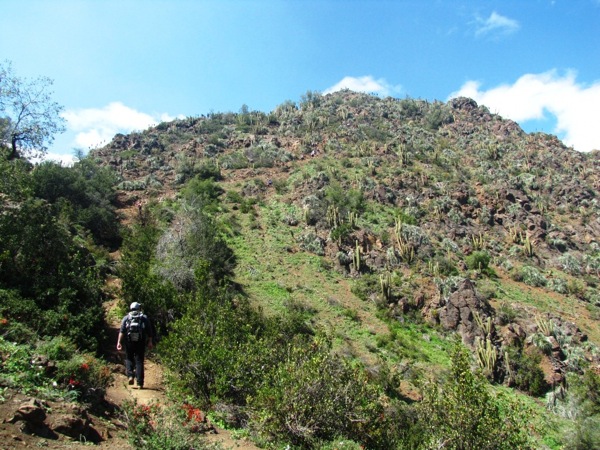 Cerca de la cumbre