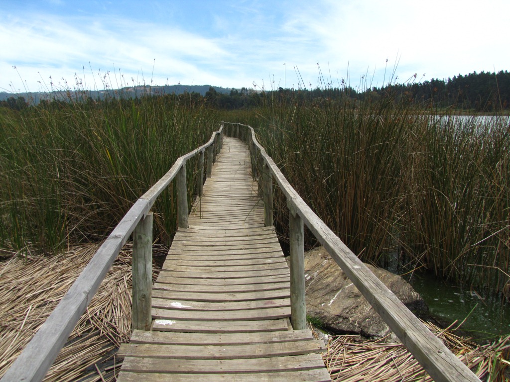 Pasarela por la laguna