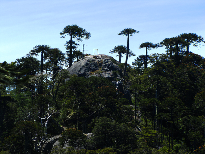 Piedra del Aguila