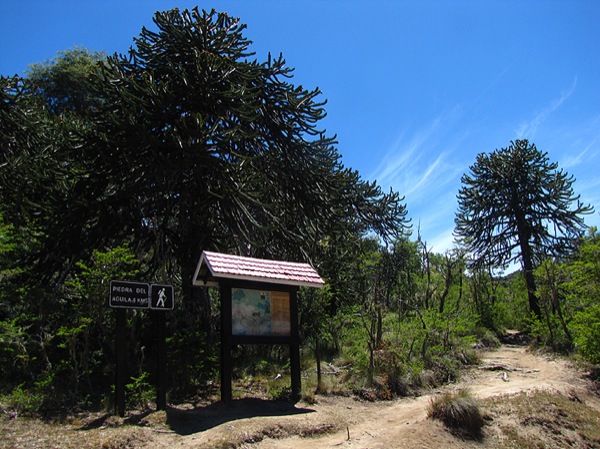 Inicio del sendero