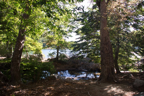 Lugar para campamento laguna La Plata