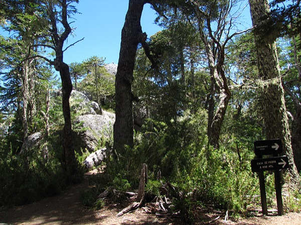 Cruce de caminos