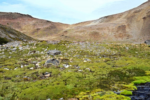 Vista Paso Ventarrón