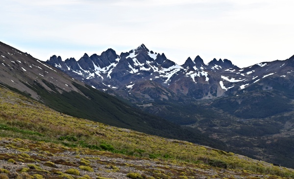 Dientes de Navarino