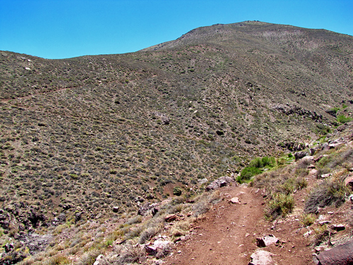 Descendiendo hacia la quebrada