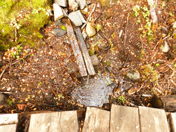 Agua en el sendero