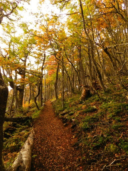 Sendero en Otoño