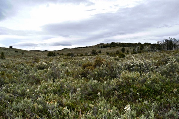 Paisaje típico de la primera parte el trekking