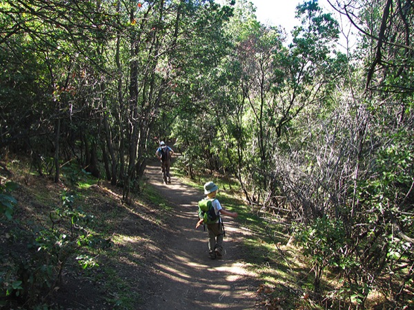 De regreso en el bosque