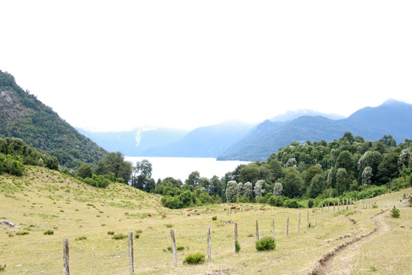 Vista hacia el Lago Todos Los Santos