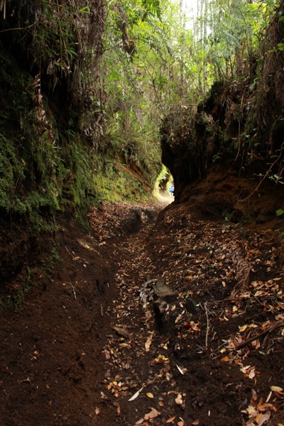 Túneles de barro