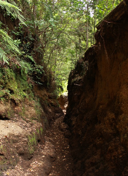 Túneles de barro 2