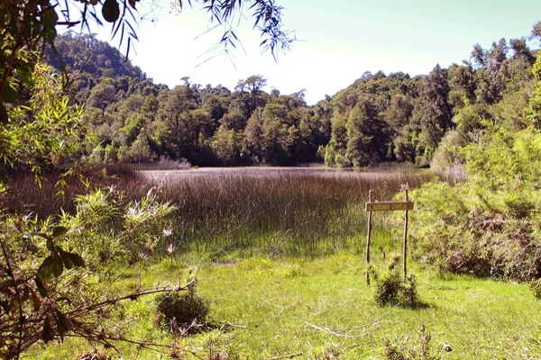 Laguna chica