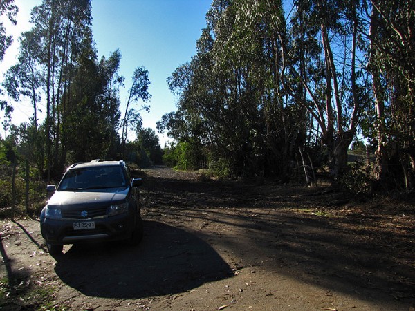 Inicio de la caminata