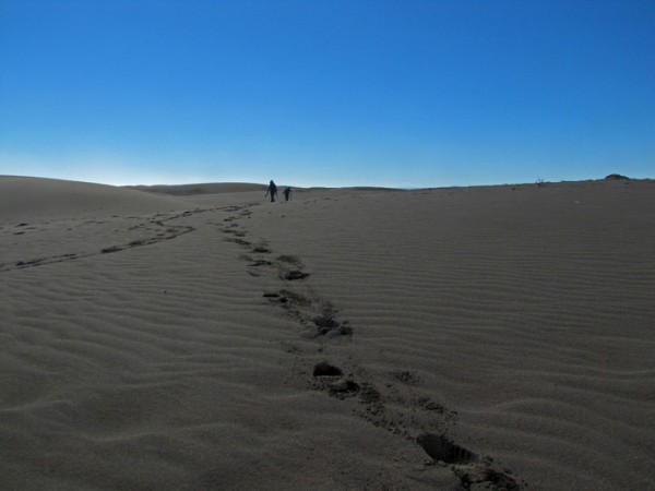 Dunas