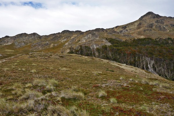 Cerro Tamanguito