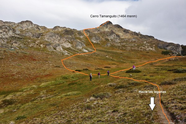 Desvío hacia el cerro Tamanguito